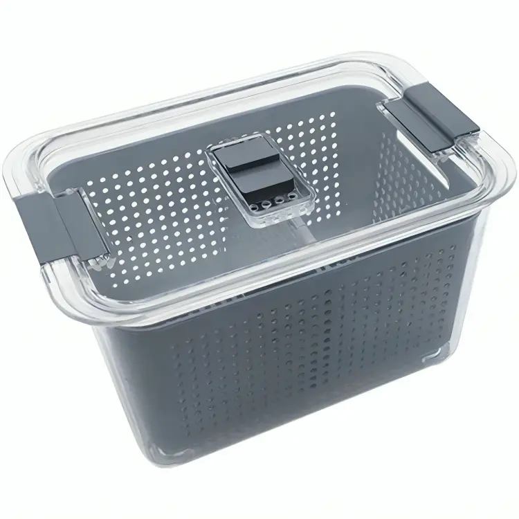 image - 2025-01-25T102557.452.webp