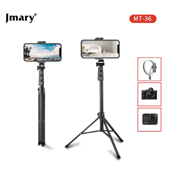 MT-36-04.webp
