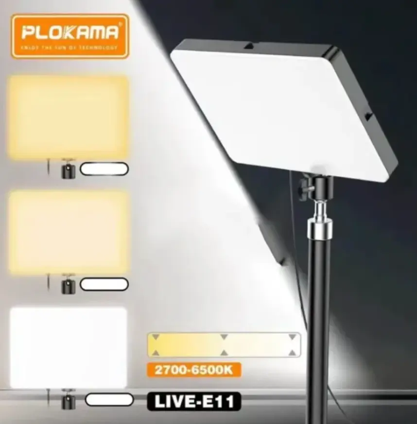 LIVE-E11-04.webp