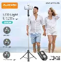 01317-06.webp